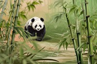 Panda walking through bamboo forest, wildlife remix