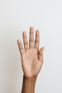 Hand finger white background gesturing. 