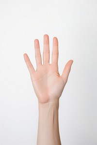 Hand finger white background gesturing. 