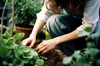 Gardening woman outdoors nature. 