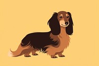 Long haired dachshound pet animal mammal. 