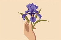 Person holding iris flower petal plant inflorescence. 