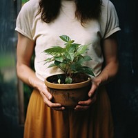 Woman Gardener plant gardening. 