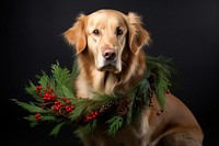 Dog christmas animal mammal. AI generated Image by rawpixel.