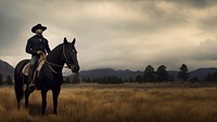 Black american cowboy horse mammal animal. 