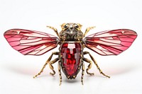 Cicada jewelry animal insect hornet. 