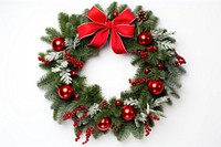 Christmas wreath plant white background. 