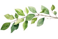 Branch plant green leaf. AI generated Image by rawpixel.