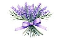 A lavender flower ribbon purple. 