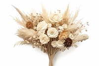 Dried wedding bouquet flower plant white. 