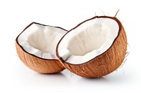 Coconut fruit plant white background. 