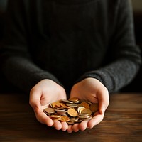 Coins in hands, investment. 