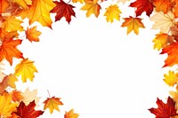 Maple leaves leaf backgrounds falling. 