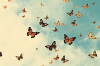 Background butterfly animal insect. AI generated Image by rawpixel.