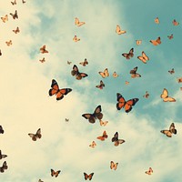 Background butterfly outdoors animal. AI generated Image by rawpixel.