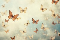 Background backgrounds butterfly animal. AI generated Image by rawpixel.