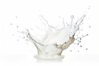 Milk splash milk white white background. 