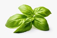 Basil leaves disperse vegetable basil plant. AI generated Image by rawpixel.