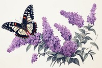 Butterfly bush flower purple lilac. 