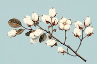 Blossom branch flower nature. AI generated Image by rawpixel.