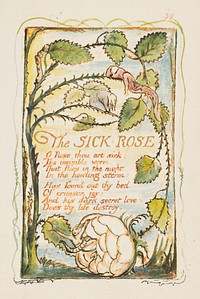 Songs of Innocence and of Experience: The Sick Rose by William Blake