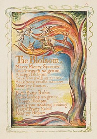 Songs of Innocence and of Experience: The Blossom: Merry Merry Sparrow by William Blake