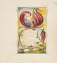 Songs of Innocence and of Experience: Infant Joy by William Blake
