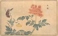 Chinese Oriole and Peonies