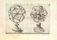 Perspectiva Corporum Regularium