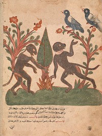 "The Birds and the Monkeys with the Glow Worm", Folio from a Kalila wa Dimna, second quarter 16th century