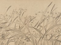 Narcissus, Zhao Mengjian (Chinese, 1199–before 1267)