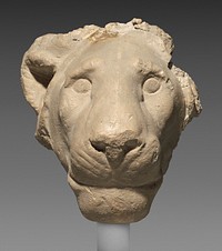 Head of a lion