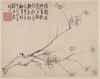 Album of Blossoming Plum 