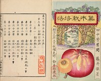 Illustrated book