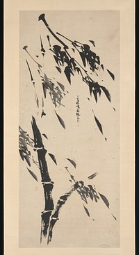 Bamboo in the Wind 