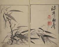 Shazanrō (Bunchō) Picture Book