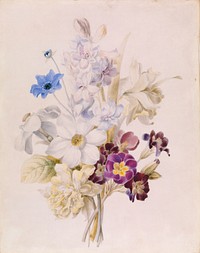 Narcissus and Other Flowers by Unidentified artist