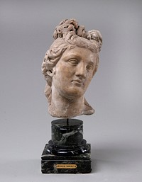 Female Head by Unidentified artist