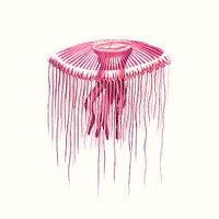 Vintage green jellyfish psd illustration, remixed from public domain artworks collage element psd