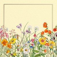 Square gold frame, flower border illustration