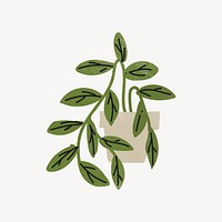 Houseplant illustration vector