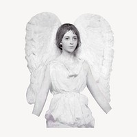 Angel  psd