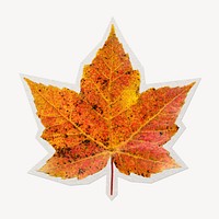 Fall maple leaf paper cut isolated design