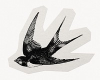 Sparrow bird paper cut isolated design