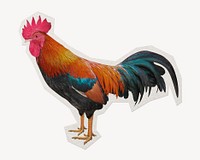Rooster paper element with white border