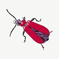 Fire coloured beetle clipart illustration psd. Free public domain CC0 image.