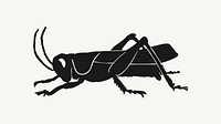 Grasshopper illustration psd. Free public domain CC0 image.