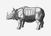 Rhinoceros illustration. Free public domain CC0 image.