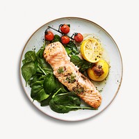 Baked salmon food isolated design