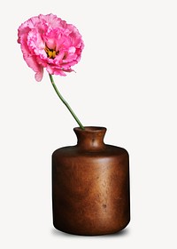 Pink peony vase, isolated botanical image